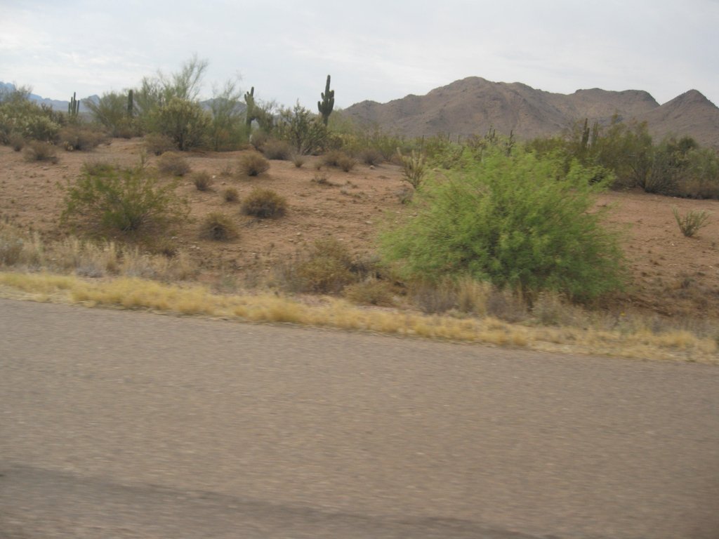 Desert terrain on the road to Payson, AZ Desert terrain on the road to Payson, AZ